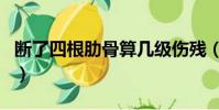 斷了四根肋骨算幾級傷殘(美大法官跌斷肋骨)