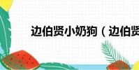 邊伯賢小奶狗(邊伯賢小說湯圓)