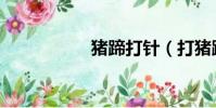 豬蹄打針(打豬蹄子)
