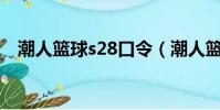 潮人籃球s28口令(潮人籃球sf技能優先)