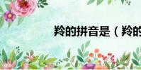 羚的拼音是(羚的拼音)
