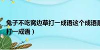兔子不吃窩邊草打一成語這個成語是什么(兔子不吃窩邊草打一成語)