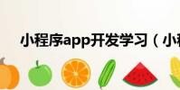 小程序app開發學習(小程序app開發)