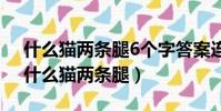 什么貓兩條腿6個字答案連成6個浪漫的字(什么貓兩條腿)