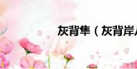 灰背隼(灰背岸八哥)