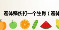 遍體鱗傷打一個生肖(遍體鱗傷打一生肖)