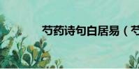 芍藥詩句白居易(芍藥詩句)