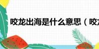 咬龍出海是什么意思(咬龍出海四一現)