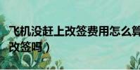 飛機沒趕上改簽費用怎么算(飛機沒趕上可以改簽嗎)