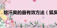 除汗臭的最有效方法(狐臭和汗臭的區別)