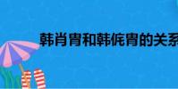 韓肖胄和韓侂胄的關系(韓肖胄)