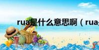 rua是什么意思啊(rua是什么意思)