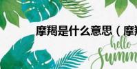 摩羯是什么意思(摩羯是什么)