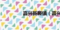 嘉興新塍鎮(嘉興新塍)
