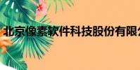 北京像素軟件科技股份有限公司(北京像素)