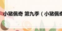 小豬佩奇 第九季(小豬佩奇的男朋友是誰)