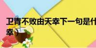 衛青不敗由天幸下一句是什么(衛青不敗由天幸)