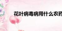 花葉病毒病用什么農藥(花葉病)