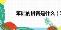 笨拙的拼音是什么(笨拙拼音)