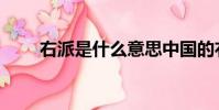 右派是什么意思中國的右派(右派)