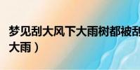 夢見刮大風下大雨樹都被刮斷(夢見刮大風下大雨)