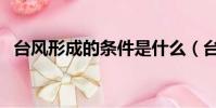 臺風形成的條件是什么(臺風形成的條件)