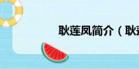 耿蓮鳳簡介(耿蓮鳳)