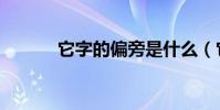 它字的偏旁是什么(它字組詞)