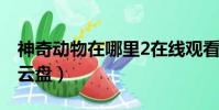 神奇動物在哪里2在線觀看(神奇動物在哪里云盤)