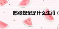 鴟張蟻聚是什么生肖(鴟張蟻聚)