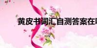 黃皮書詞匯自測答案在哪(黃皮書)