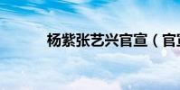 楊紫張藝興官宣(官宣什么梗)