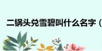 二鍋頭兌雪碧叫什么名字(二鍋頭兌雪碧)
