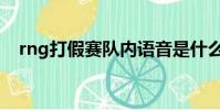 rng打假賽隊內語音是什么(rng打假賽)