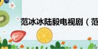 范冰冰陸毅電視劇(范冰冰 陸毅)