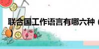 聯合國工作語言有哪六種(男孩會說9國語言)