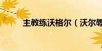 主教練沃格爾(沃爾辱罵主教練)
