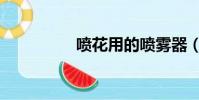噴花用的噴霧器(噴花)