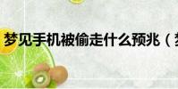 夢見手機被偷走什么預兆(夢見手機被偷走)
