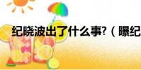 紀曉波出了什么事?(曝紀曉波香港被抓)