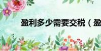 盈利多少需要交稅(盈利多2007)
