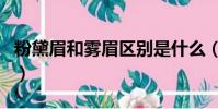 粉黛眉和霧眉區別是什么(粉黛眉和霧眉區別)