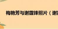 梅艷芳與謝霆鋒照片(謝霆鋒兒子照片)
