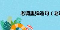 老調重彈造句(老調重彈)