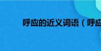 呼應的近義詞語(呼應的近義詞)