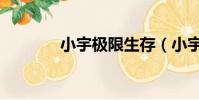 小宇極限生存(小宇澤去世)