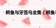 鱷魚與牙簽鳥全集(鱷魚與牙簽鳥殺青)