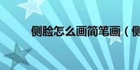 側臉怎么畫簡筆畫(側臉怎么畫)