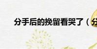 分手后的挽留看哭了(分手后的挽留)
