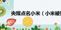 央媒點名小米(小米被財政部點名)